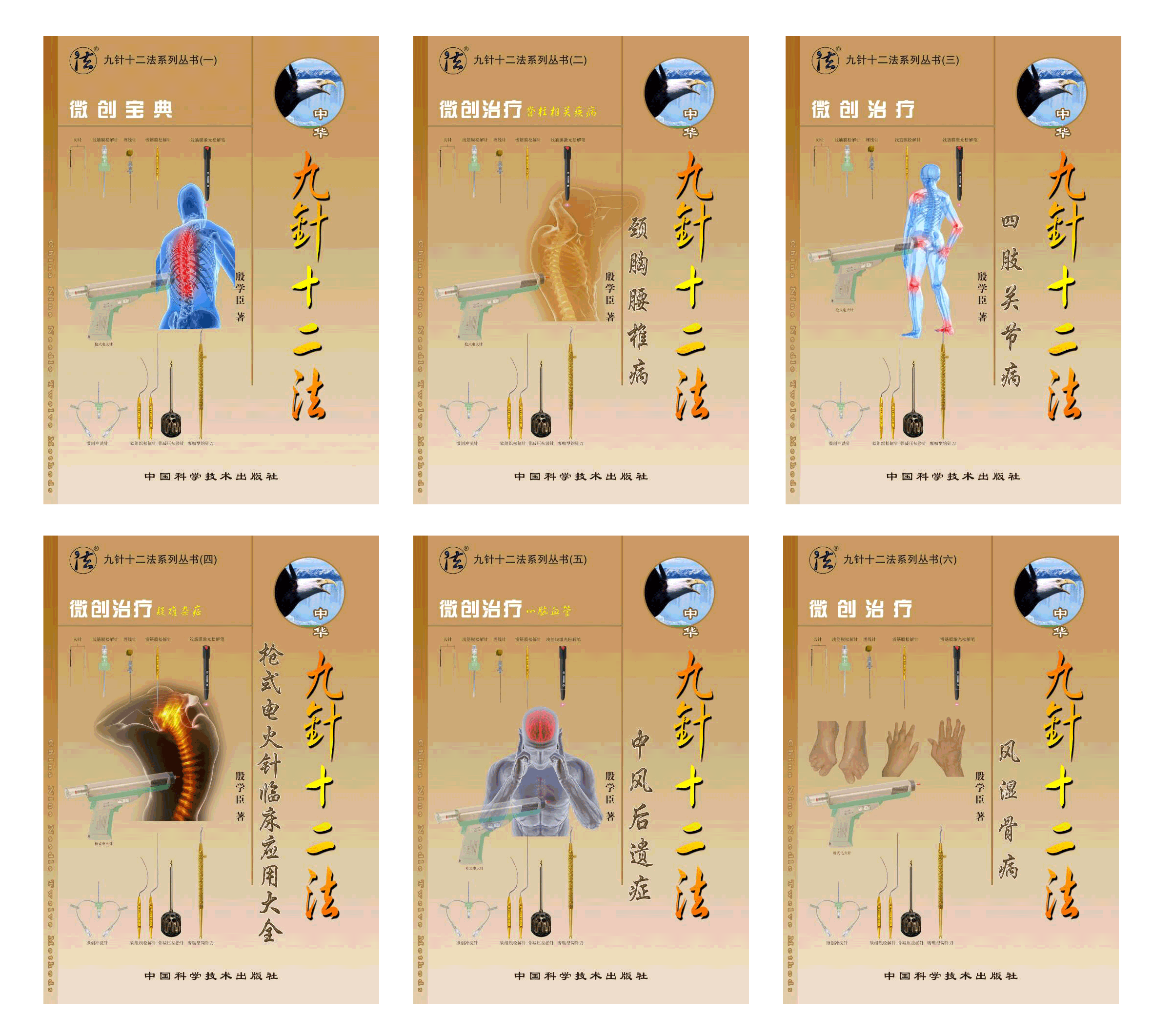 九针十二法著作